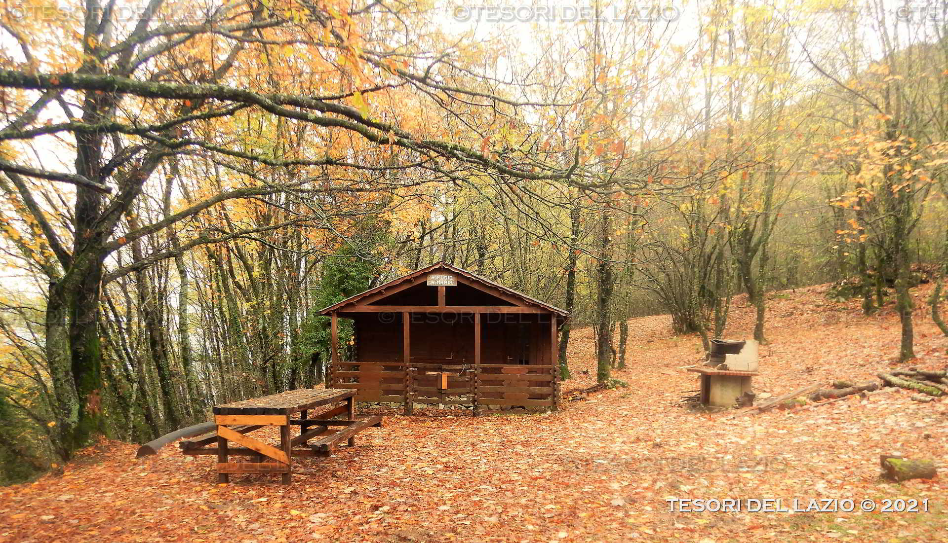 blog-image