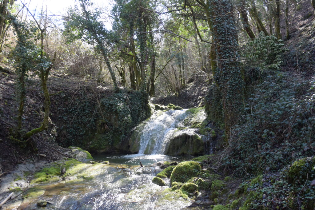 Escursione Portica e pozzi carsici Vallinfreda (RM)