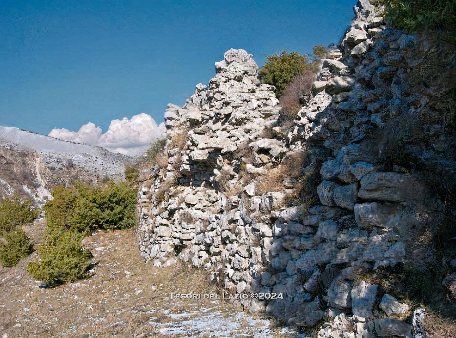 blog-image
