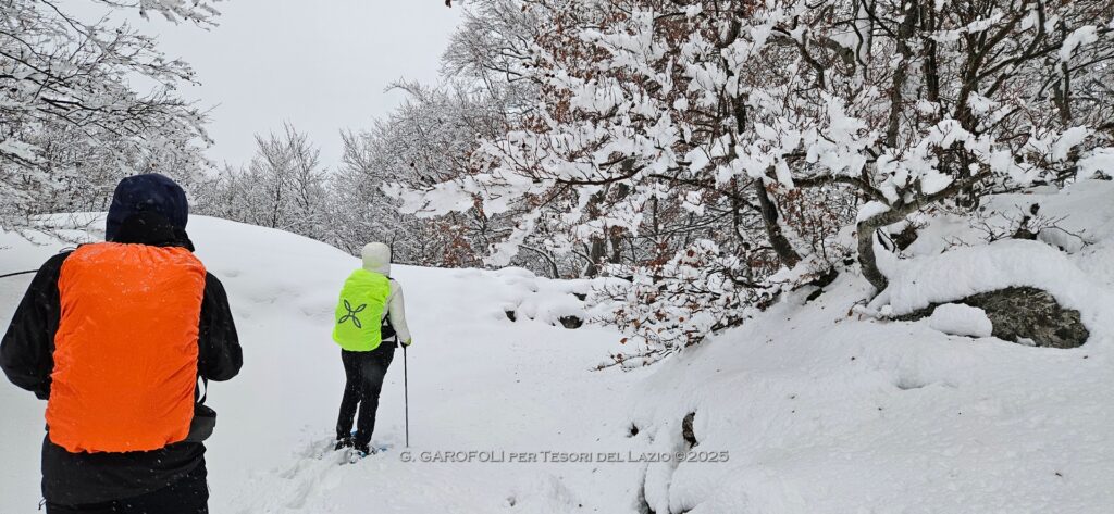 Ciaspolata sul limite del Parco D'Abruzzo nei pressi di Scanno (AQ)