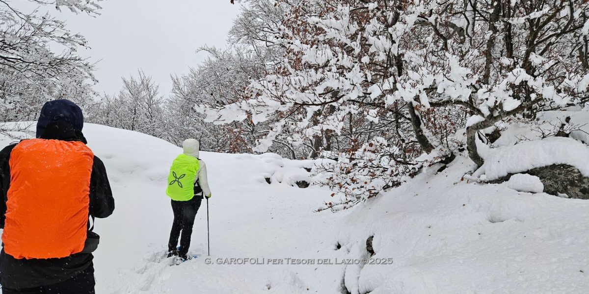 Ciaspolata sul limite del Parco D'Abruzzo nei pressi di Scanno (AQ)