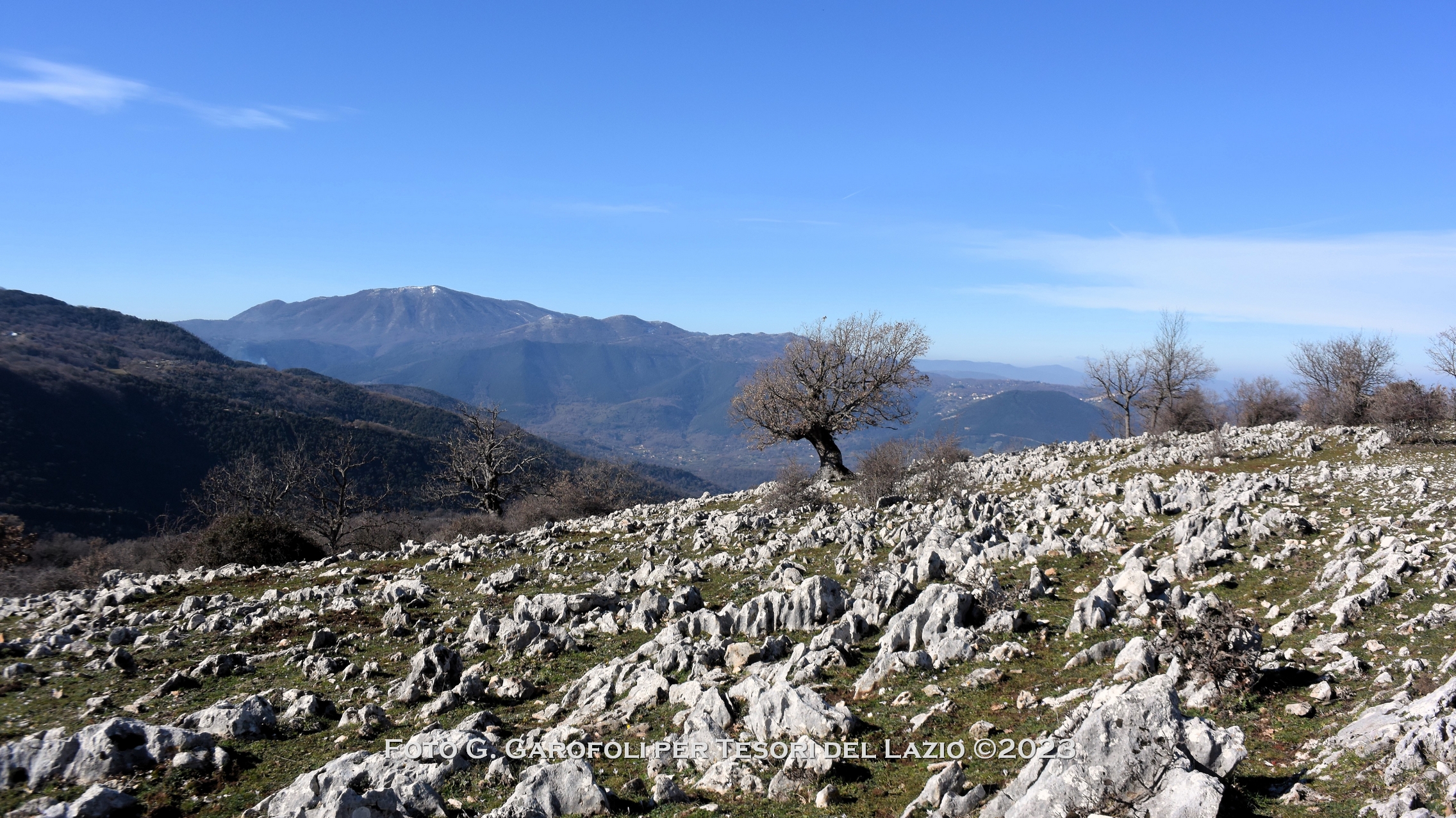 blog-image