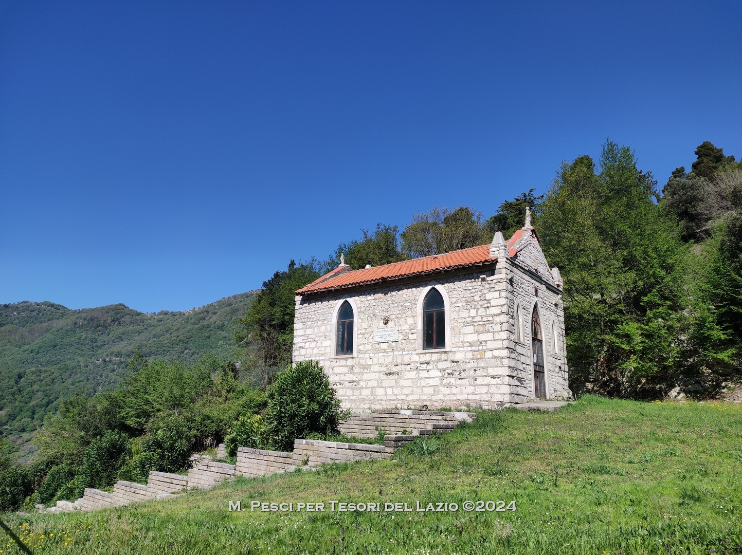 blog-image