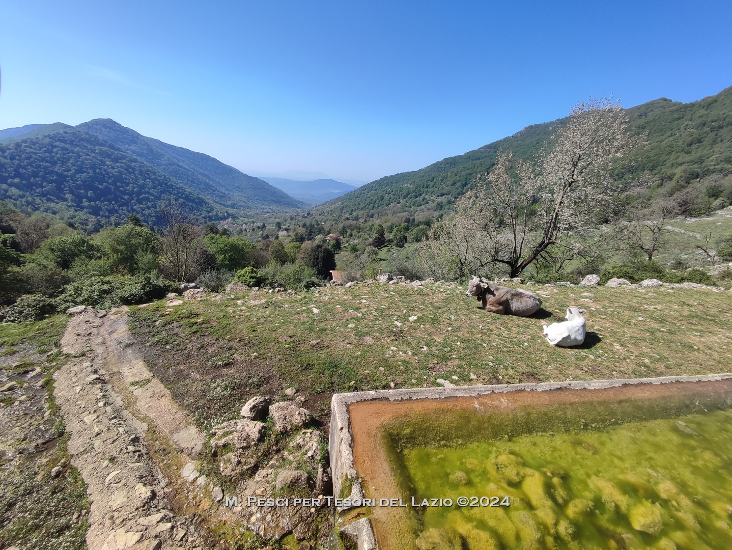 Escursione sui Monti Lepini al Monte Gemma