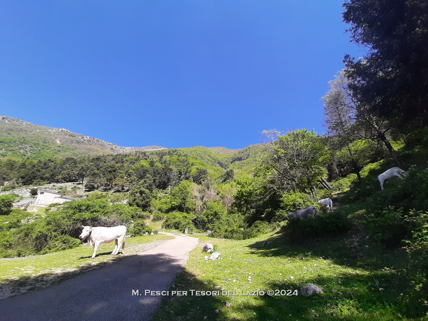 Escursione sui Monti Lepini al Monte Gemma